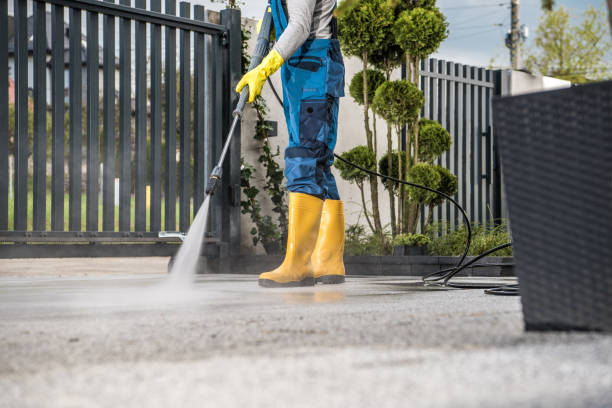 Best Graffiti Removal  in Vance, AL